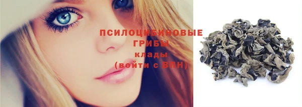 PSILOCYBIN Абинск
