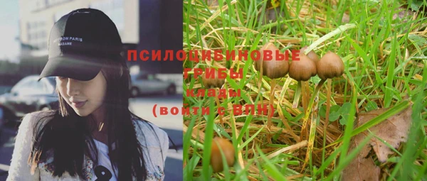 PSILOCYBIN Абинск