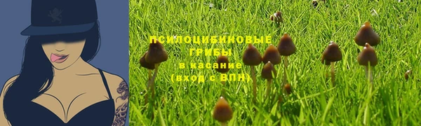PSILOCYBIN Абинск